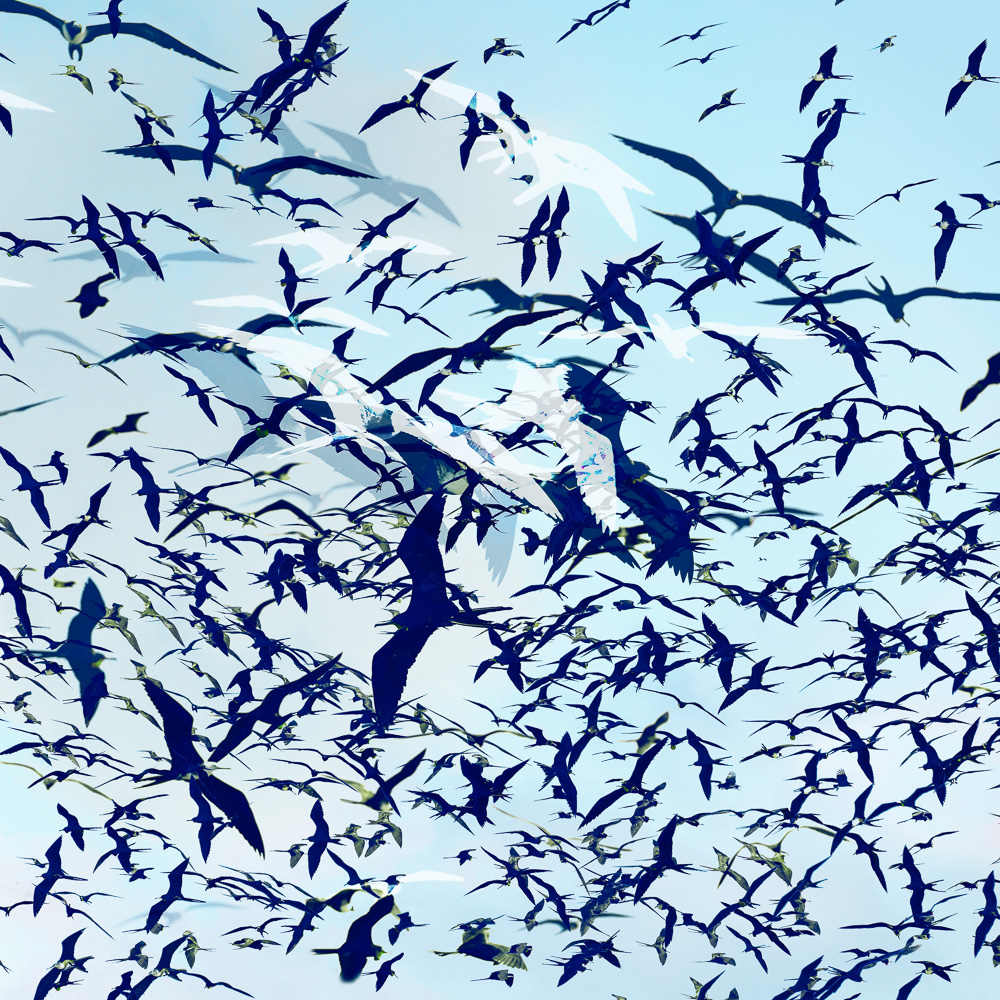 Einzigartige, moderne und hochwertige Bilder und Wandkunst mit ausgewählten Fotografien der Zuger Fotografin Nicole Sepp - ideal für stilvolle Inneneinrichtung.