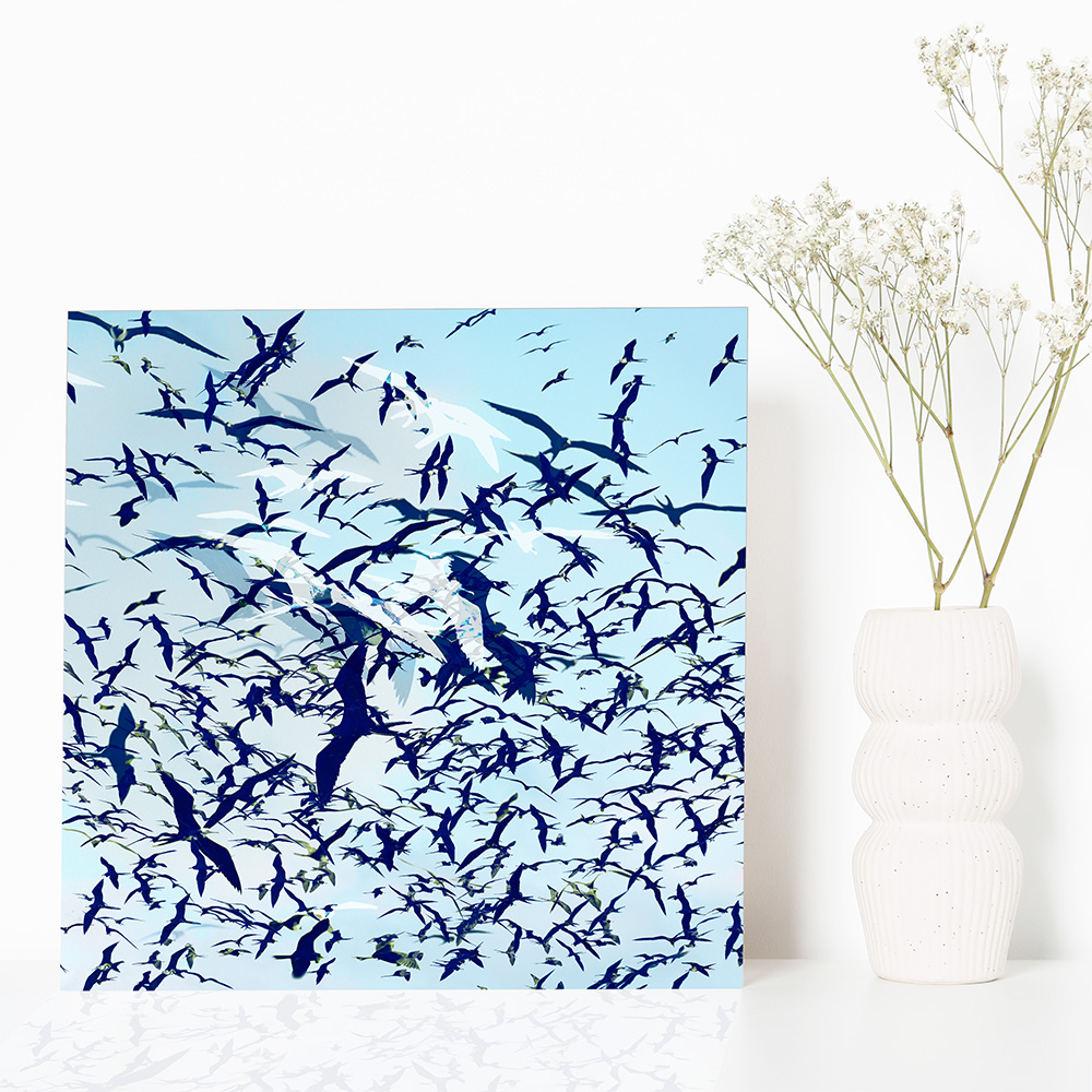 Einzigartige, moderne und hochwertige Bilder und Wandkunst mit ausgewählten Fotografien der Zuger Fotografin Nicole Sepp - ideal für stilvolle Inneneinrichtung.