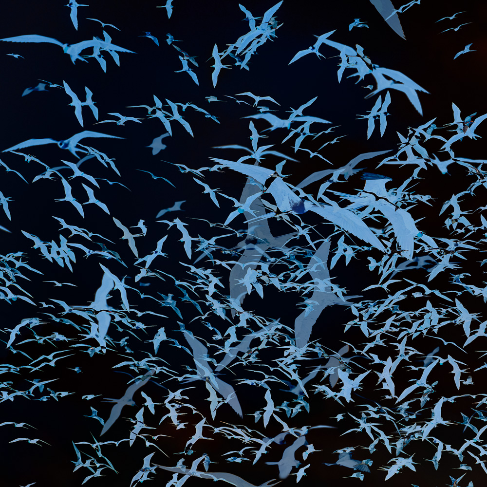 Einzigartige, moderne und hochwertige Bilder und Wandkunst mit ausgewählten Fotografien der Zuger Fotografin Nicole Sepp - ideal für stilvolle Inneneinrichtung.