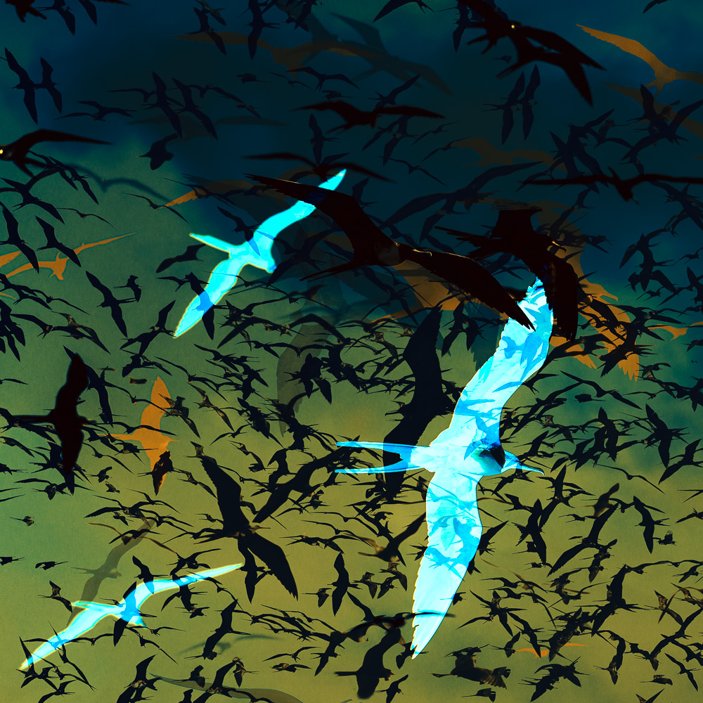 Einzigartige, moderne und hochwertige Bilder und Wandkunst mit ausgewählten Fotografien der Zuger Fotografin Nicole Sepp - ideal für stilvolle Inneneinrichtung.