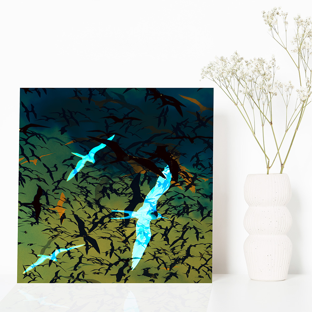 Einzigartige, moderne und hochwertige Bilder und Wandkunst mit ausgewählten Fotografien der Zuger Fotografin Nicole Sepp - ideal für stilvolle Inneneinrichtung.