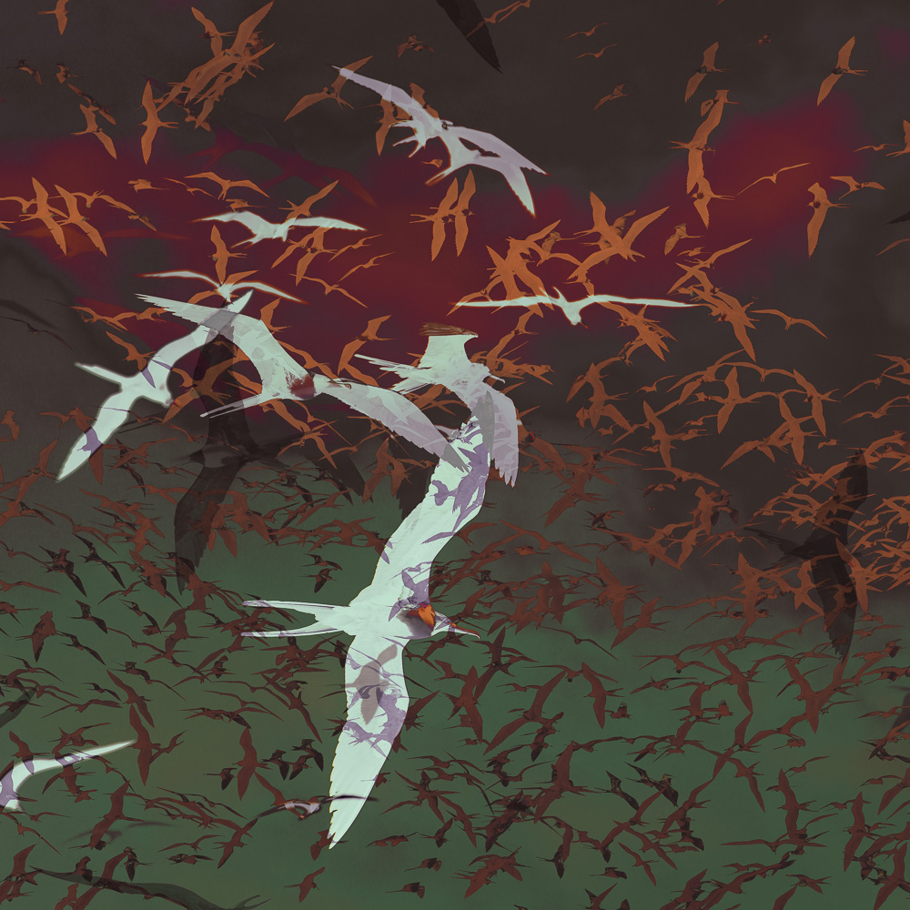 Einzigartige, moderne und hochwertige Bilder und Wandkunst mit ausgewählten Fotografien der Zuger Fotografin Nicole Sepp - ideal für stilvolle Inneneinrichtung.