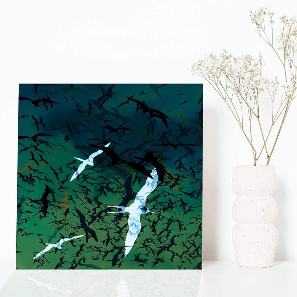 Einzigartige, moderne und hochwertige Bilder und Wandkunst mit ausgewählten Fotografien der Zuger Fotografin Nicole Sepp - ideal für stilvolle Inneneinrichtung.