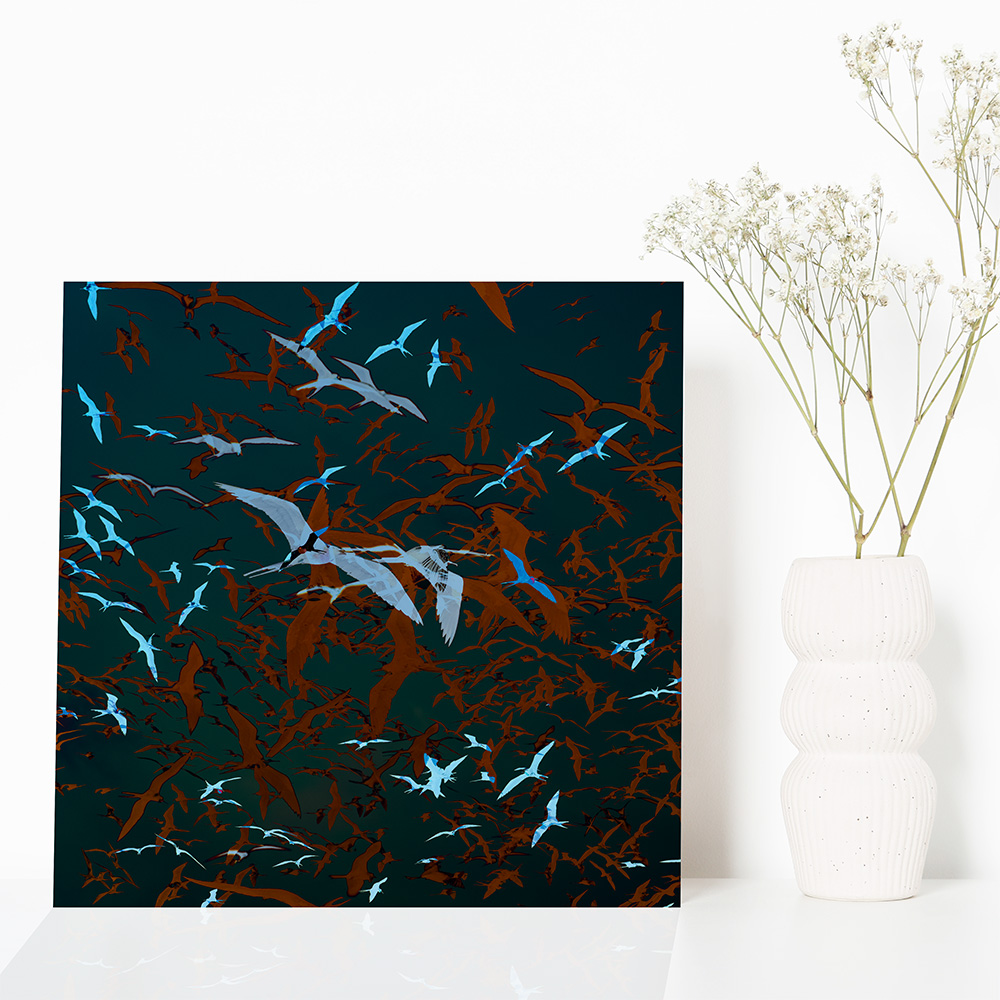 Einzigartige, moderne und hochwertige Bilder und Wandkunst mit ausgewählten Fotografien der Zuger Fotografin Nicole Sepp - ideal für stilvolle Inneneinrichtung.